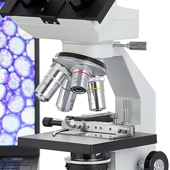 AmScope メカニカルステージと40X-2000X双眼生物顕微鏡 Amazon.co.jp: AmScope メカニカルステージと40X-2000X双眼生物